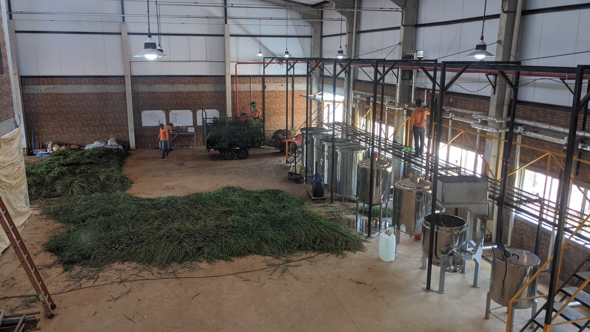 Extraction hall with vapor extraction tanks